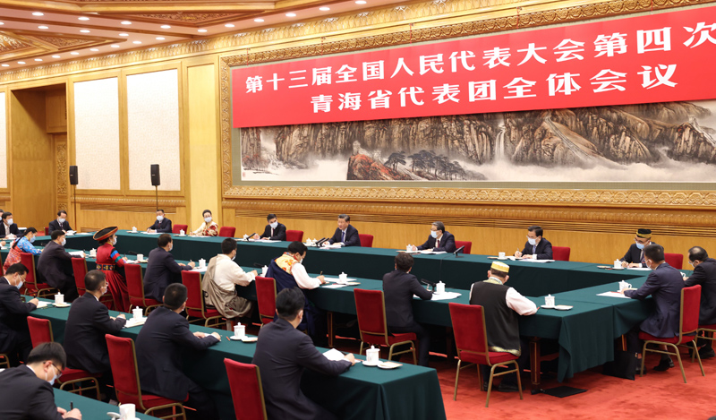 3月7日，中共中央總書記、國(guó)家主席、中央軍委主席習(xí)近平參加十三屆全國(guó)人大四次會(huì)議青海代表團(tuán)的審議。新華社記者 黃敬文 攝